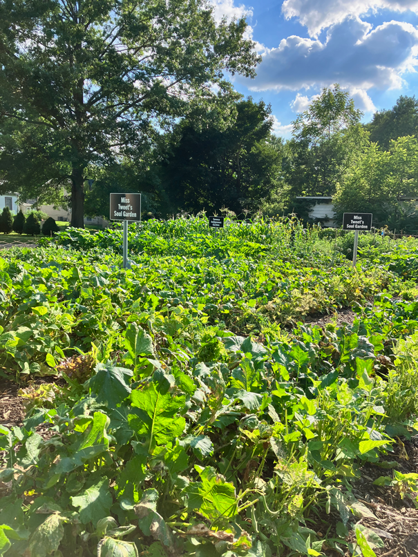 The Thomas-Anderson Memorial Garden honors the families and groups that lived within the Historic South End community.